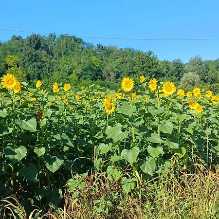 Bed & Breakfast La Ru *